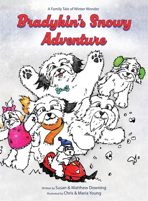Bradykins Snowy Adventure: A Family Tale of Winter Wonder (Hardcover)