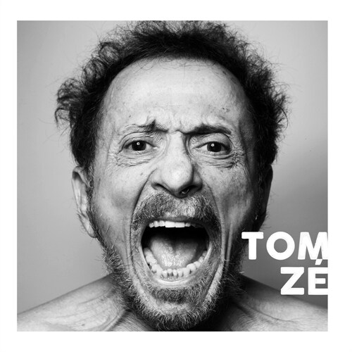 Tom Z?- Trajet?ia Musical (Paperback)