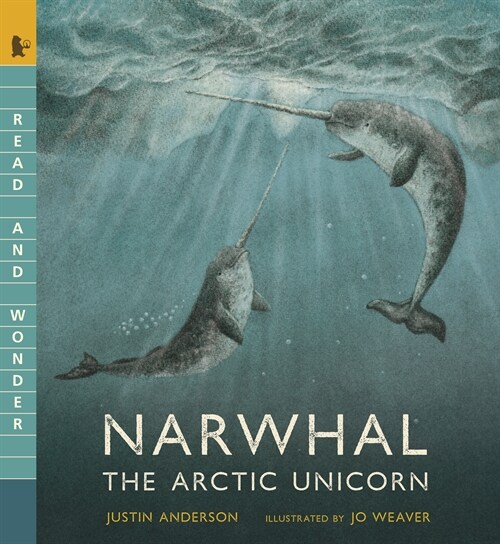 Narwhal: The Arctic Unicorn: Read and Wonder (Paperback)