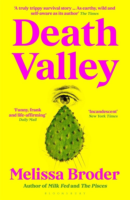 Death Valley (Paperback)