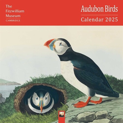 Fitzwilliam Museum: Audubon Birds Wall Calendar 2025 (Art Calendar) (Calendar, New ed)