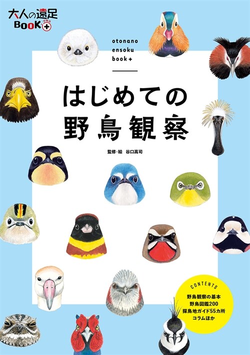 はじめての野鳥觀察