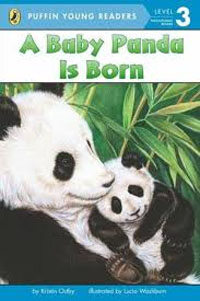 Puffin Young Readers Level 3: Baby Panda Is Born (Paperback)