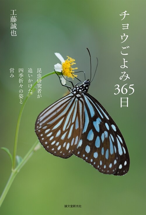 チョウごよみ365日: 昆蟲硏究者が追いかけた四季折-の姿と營み