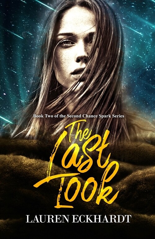 The Last Look (Paperback)