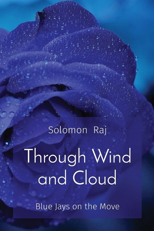 Through Wind and Cloud: Blue Jays on the Move (Paperback)