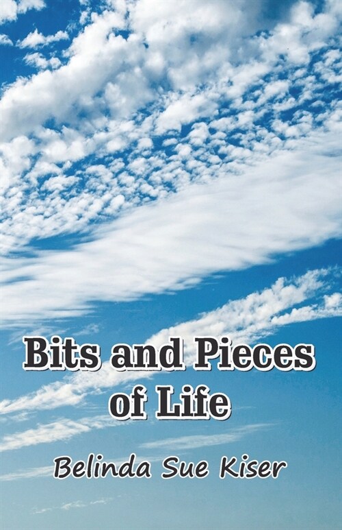 Bits and Pieces of Life (Paperback)