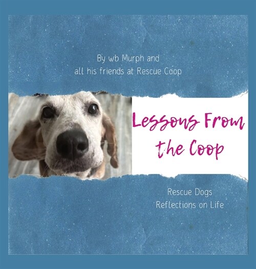 Lessons From the Coop (Hardcover)