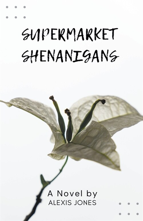 Supermarket Shenanigans (Paperback)