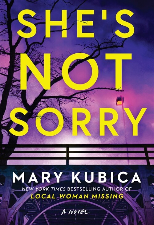 Shes Not Sorry: A Psychological Thriller (Library Binding)