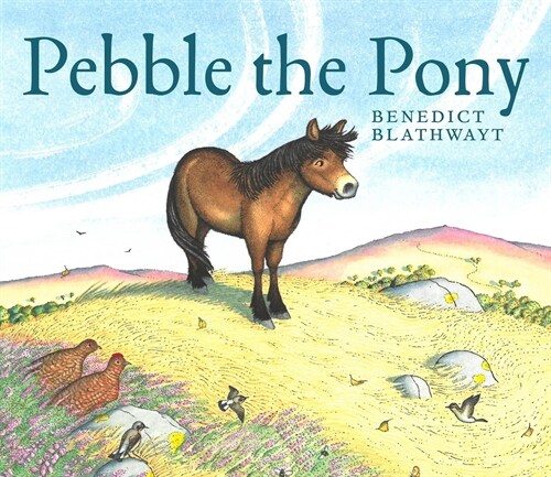 Pebble the Pony (Paperback)