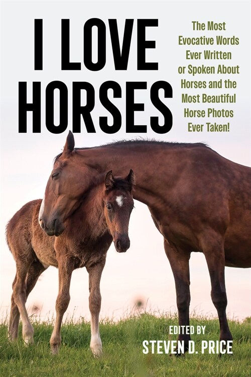 I Love Horses (Paperback)