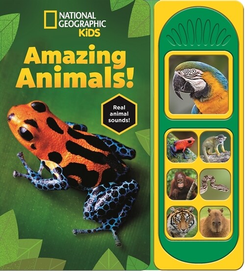 National Geographic Kids: Amazing Animals! Sound Book (Board Books)
