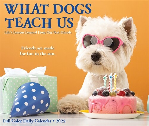 What Dogs Teach Us 2025 6.2 X 5.4 Box Calendar (Daily)