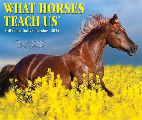 What Horses Teach Us 2025 6.2 X 5.4 Box Calendar (Daily)