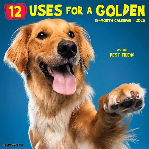 12 Uses for a Golden 2025 12 X 12 Wall Calendar (Wall)