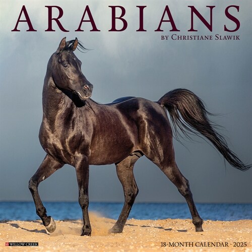 Arabians 2025 12 X 12 Wall Calendar (Wall)