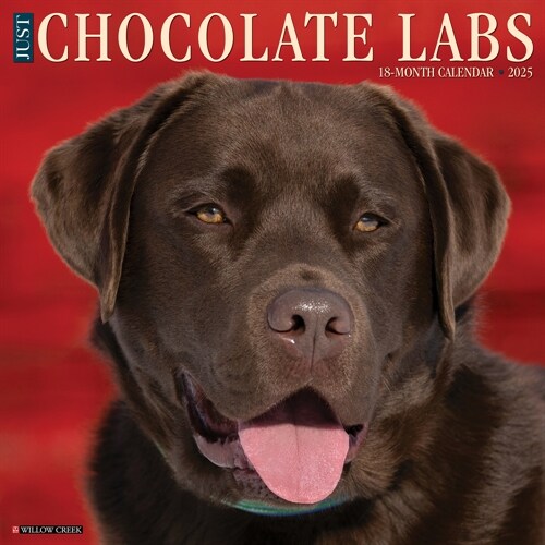 Just Chocolate Labs 2025 12 X 12 Wall Calendar (Wall)