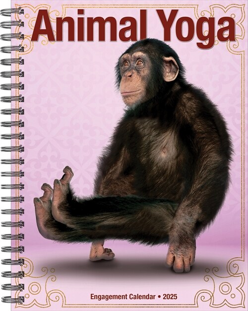 Animal Yoga 2025 6.5 X 8.5 Engagement Calendar (Desk)