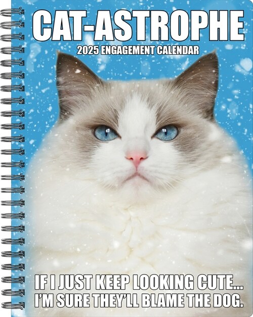 Cat-Astrophe 2025 6.5 X 8.5 Engagement Calendar (Desk)
