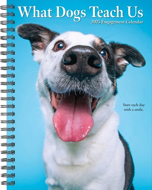 What Dogs Teach Us 2025 6.5 X 8.5 Engagement Calendar (Desk)