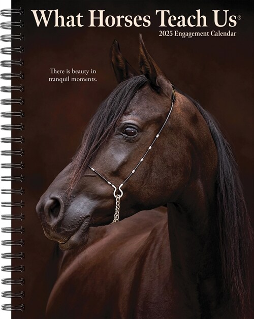 What Horses Teach Us 2025 6.5 X 8.5 Engagement Calendar (Desk)