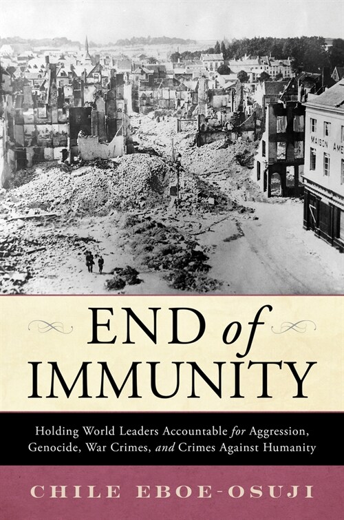 End of Immunity: Holding World Leaders Accountable for Aggression, Genocide, War Crimes, and Crimes Against Humanity (Hardcover)