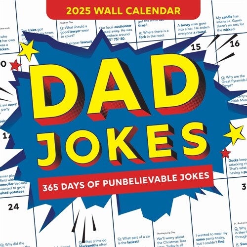 알라딘 2025 Dad Jokes Wall Calendar 365 Days of Punbelievable Jokes (Wall)