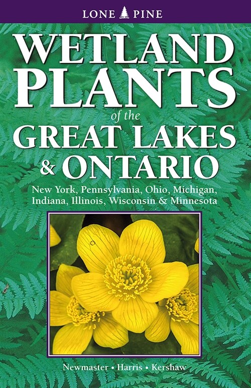 Wetland Plants of the Great Lakes and Ontario (Paperback)