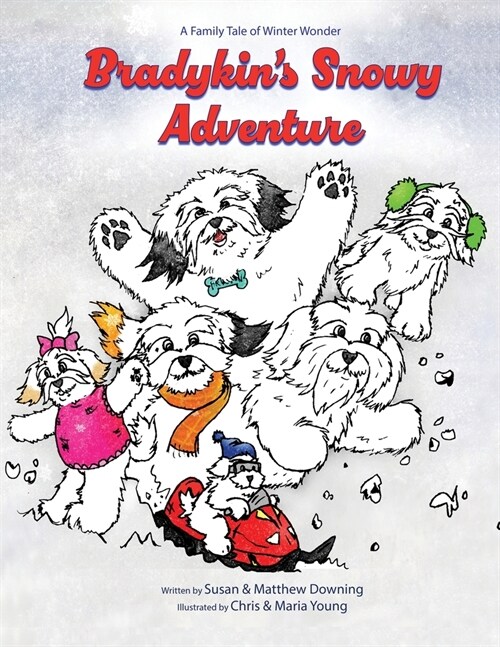 Bradykins Snowy Adventure: A Family Tale of Winter Wonder (Paperback)