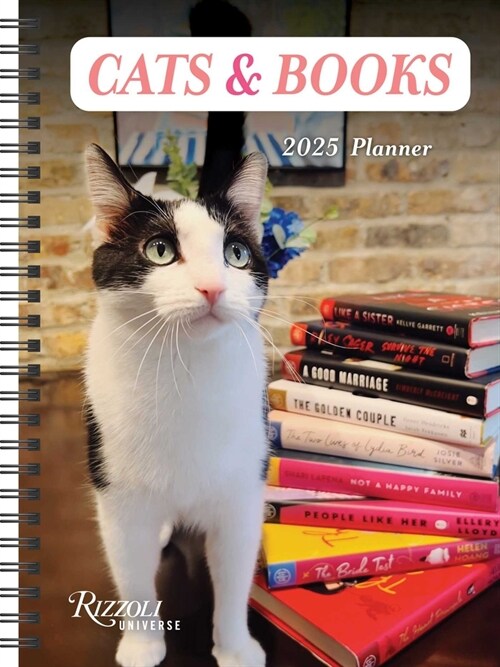 Cats & Books 12-Month 2025 Planner Calendar (Desk)