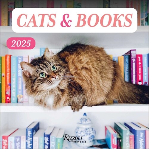 Cats & Books 2025 Wall Calendar (Wall)