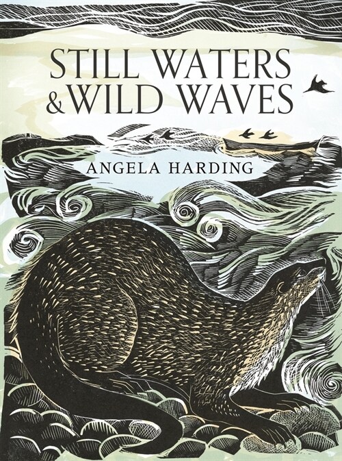 Still Waters & Wild Waves (Hardcover)