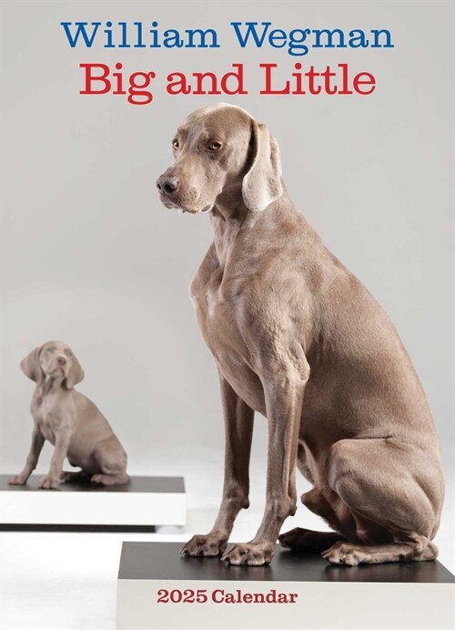 William Wegman Big and Little 2025 Wall Calendar (Wall)