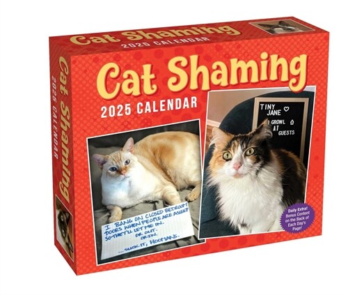 Cat Shaming 2025 Day-To-Day Calendar (Daily)