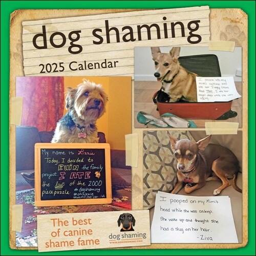 Dog Shaming 2025 Wall Calendar (Wall)