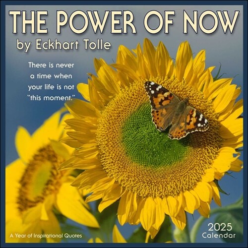 The Power of Now 2025 Wall Calendar: A Year of Inspirational Quotes (Wall)