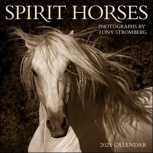 Spirit Horses 2025 Wall Calendar by Tony Stromberg (Wall)