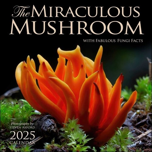 The Miraculous Mushroom 2025 Wall Calendar: With Fabulous Fungi Facts (Wall)