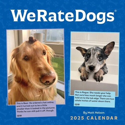 Weratedogs 2025 Wall Calendar (Wall)