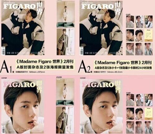 [F-2형] madame FIGARO (중국) 2024년 2월호 : EXO 백현 (A형 잡지 2권 + B형 잡지 2권 + 포스터 4장 + 포토카드 10장 + 히든카드 2장(중복 없음))