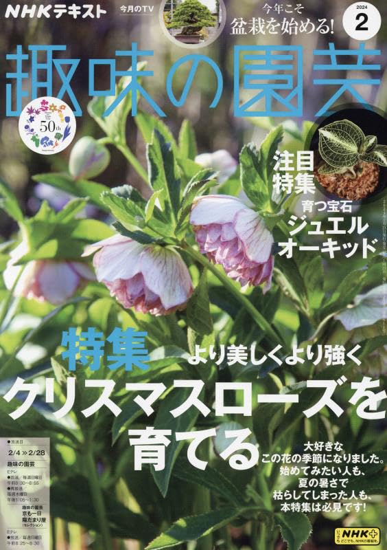 NHKテキスト趣味の園藝 2024年 02 月號 [雜誌]