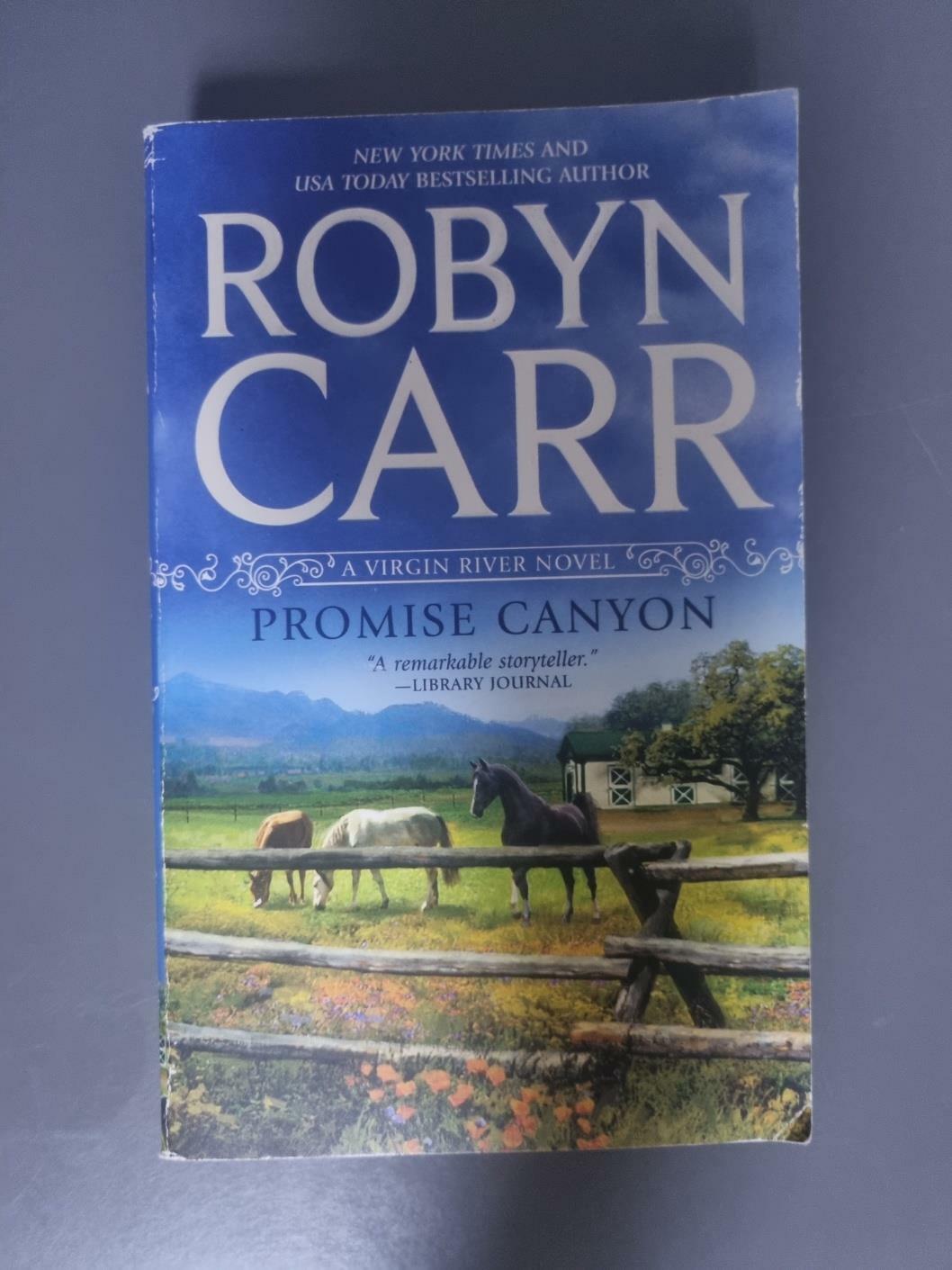 [중고] Promise Canyon (Paperback)