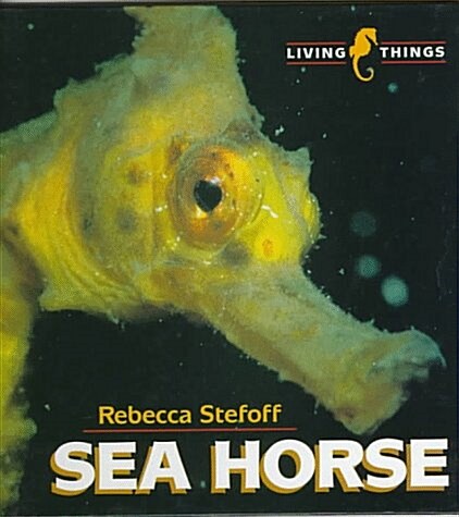 Sea Horse (Library Binding)