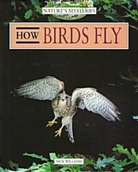 How Birds Fly (Hardcover)