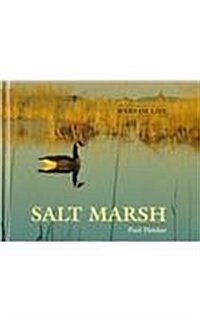 Salt Marsh (Hardcover)