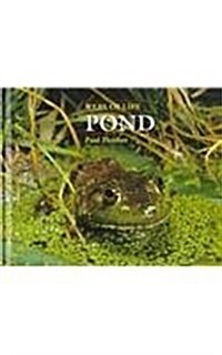 Pond (Hardcover)