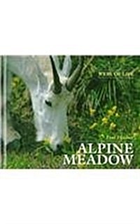 Alpine Meadow (Hardcover)