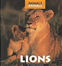Lions (Library Binding)