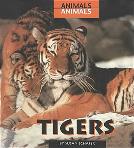 Tigers (Library Binding)